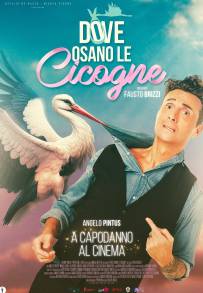 Dove osano le cicogne (2025) streaming