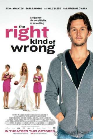 L'errore perfetto - The Right Kind of Wrong (2017) streaming