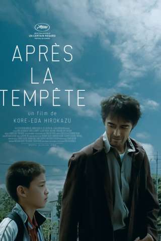 After the Storm - Ritratto di famiglia con tempesta (2016) streaming