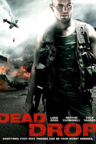 Dead Drop (2013) streaming