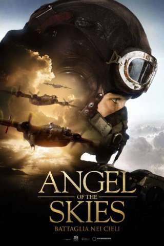 Angel of the Skies - Battaglia nei cieli (2013) streaming