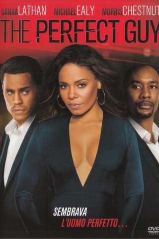 The Perfect Guy (2015) streaming