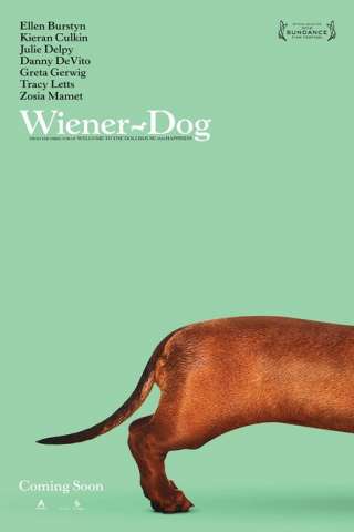 Wiener-Dog (2016) streaming