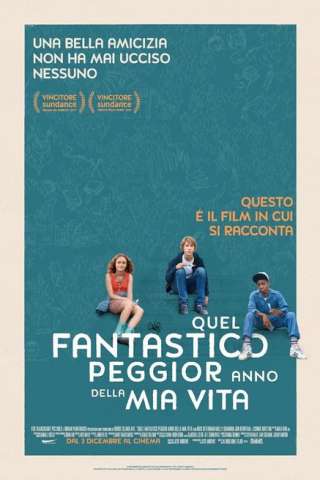 Quel fantastico peggior anno della mia vita (2015) streaming