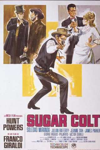 Sugar Colt (1966) streaming