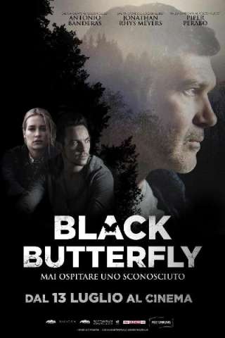 Black Butterfly (2017) streaming