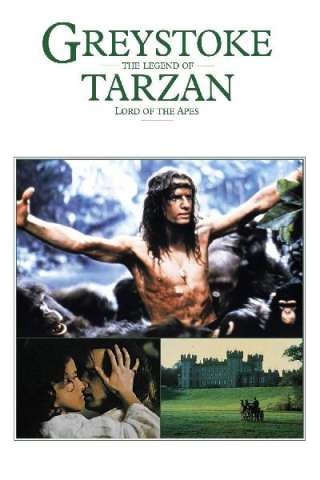 Greystoke - la leggenda di Tarzan il signore delle scimmie (1984) streaming