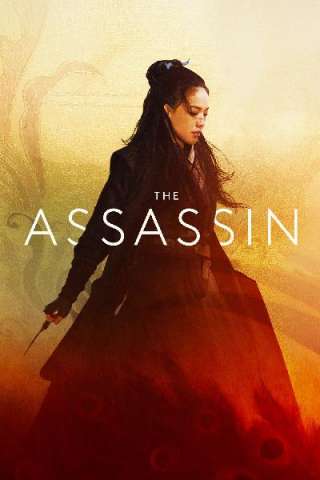 The Assassin (2015) streaming