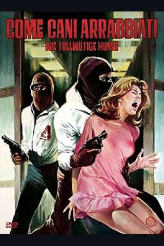 Come cani arrabbiati (1976) streaming