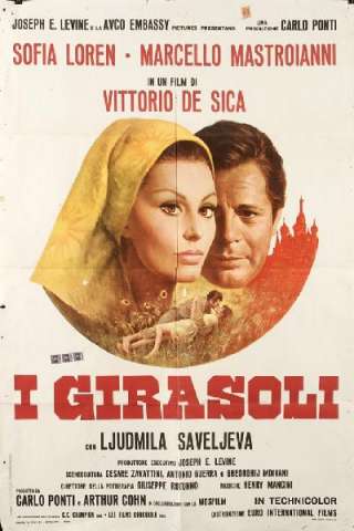 I girasoli (1970) streaming
