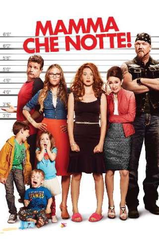 Mamma che notte! (2014) streaming