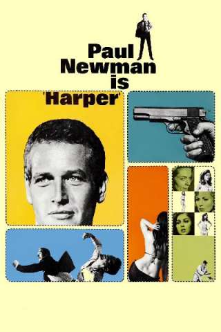 Detective's Story (1966) streaming
