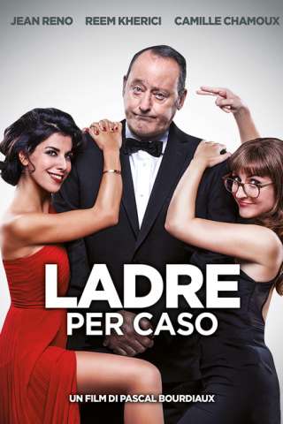 Ladre per caso (2017) streaming