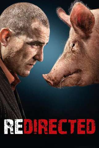 Redirected (2014) streaming