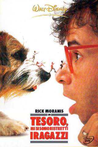 Tesoro, mi si sono ristretti i ragazzi (1989) streaming