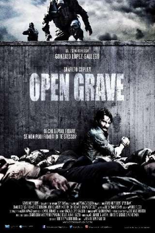 Open Grave (2013) streaming