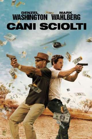 Cani sciolti (2013) streaming