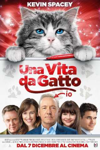 Una vita da gatto (2016) streaming