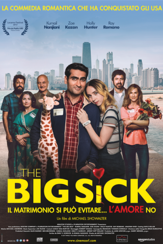 The Big Sick - Il matrimonio si può evitare... l'amore no (2017) streaming