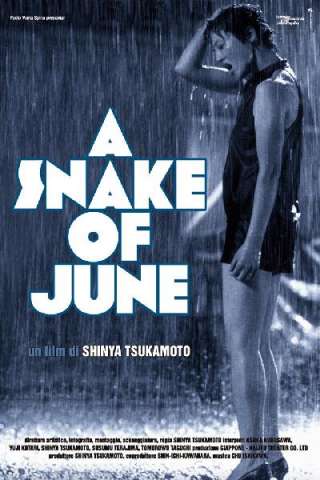 A Snake of June - Un serpente di giugno (2002) streaming