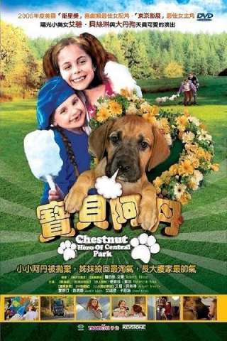 Chestnut - L'eroe di Central Park (2004) streaming