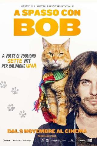 A spasso con Bob (2016) streaming