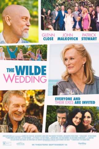 Matrimonio con l'ex (2017) streaming