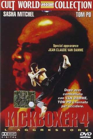 Kickboxer 4 - L'aggressore (1994) streaming