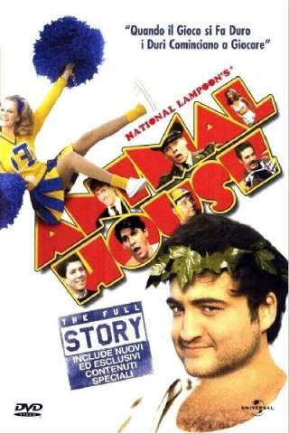 Animal House (1978) streaming