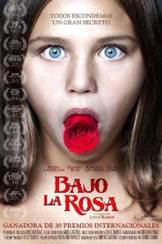 Bajo la Rosa (2017) streaming