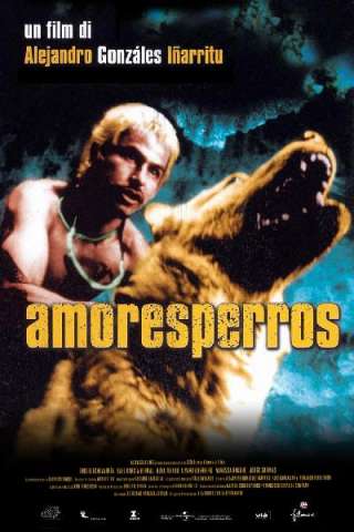 Amores perros (2000) streaming