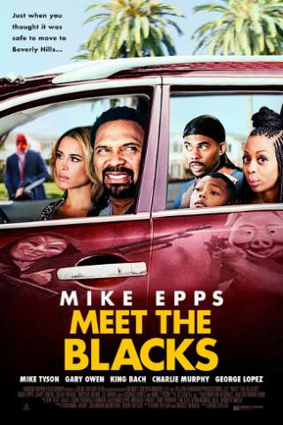 Meet the Blacks (2016) streaming