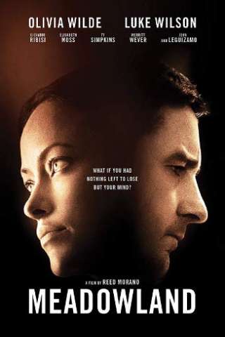 Meadowland (2015) streaming