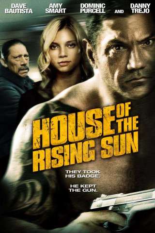 Accusato speciale (2011) streaming