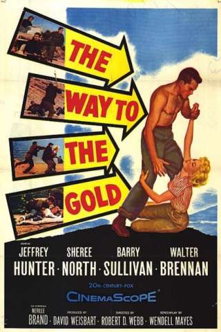 La strada dell'oro (1957) streaming
