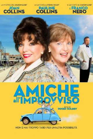 Amiche all'improvviso (2017) streaming
