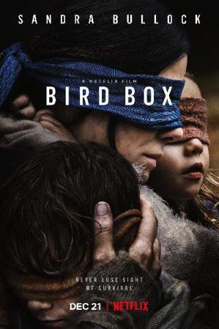 Bird Box (2018) streaming