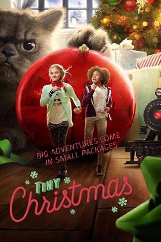 Mini Natale (2017) streaming