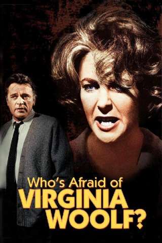 Chi ha paura di Virginia Woolf? (1966) streaming