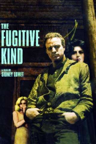 Pelle di serpente (1960) streaming
