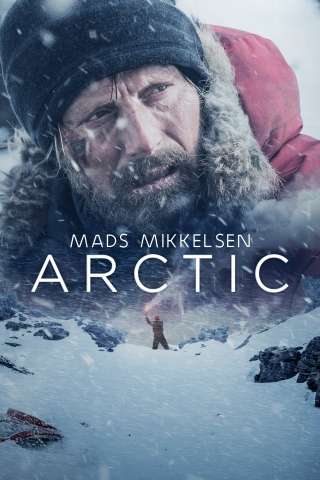 Arctic (2018) streaming