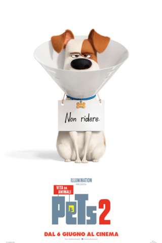 Pets 2 - Vita da animali (2019) streaming