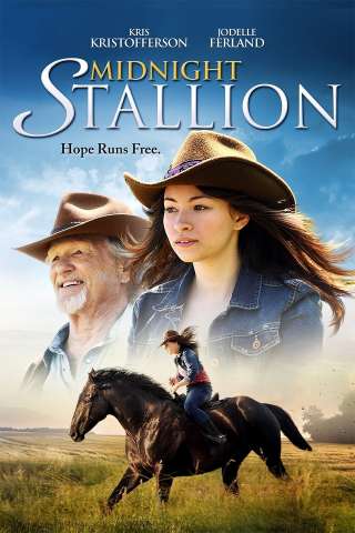 Midnight Stallion (2013) streaming