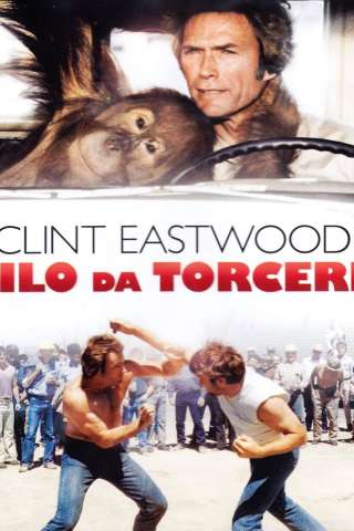 Filo da torcere (1978) streaming