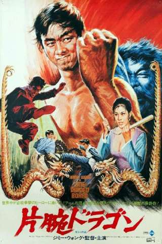 Con una mano ti rompo con due piedi ti spezzo (1972) streaming