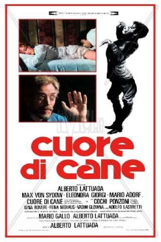 Cuore di cane (1976) streaming