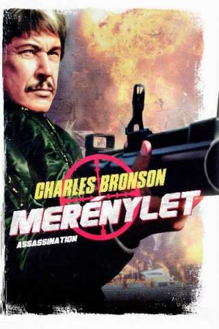 Assassination (1987) streaming
