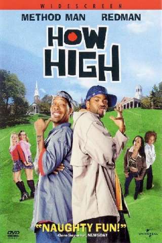 Due sballati al college (2001) streaming