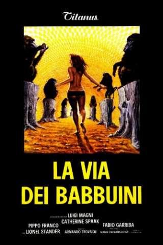 La via dei babbuini (1974) streaming