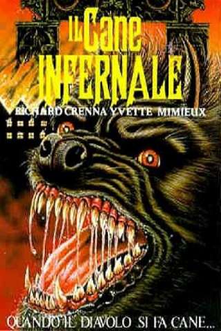 Il cane infernale (1978) streaming